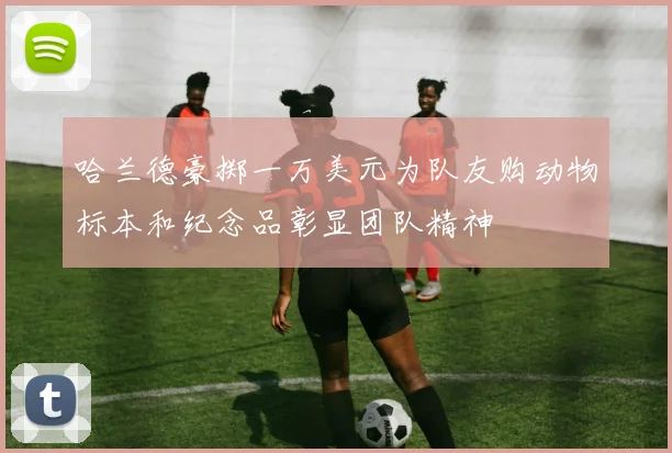 哈兰德豪掷一万美元为队友购动物标本和纪念品彰显团队精神