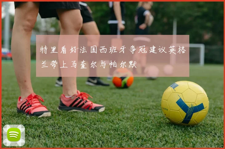 特里看好法国西班牙争冠建议英格兰带上马奎尔与帕尔默