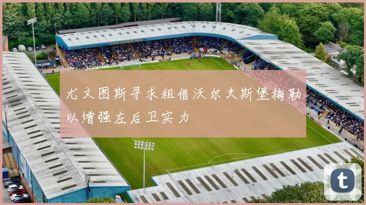 尤文图斯寻求租借沃尔夫斯堡梅勒以增强左后卫实力